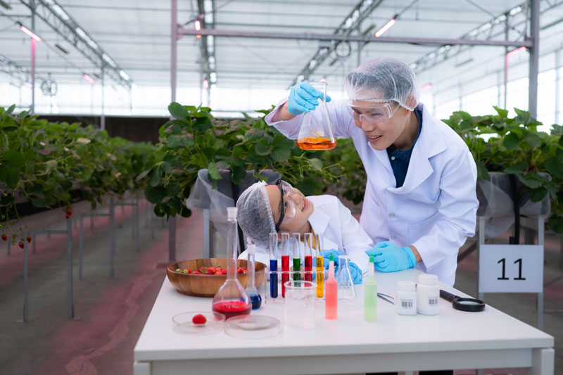 in-the-closed-strawberry-garden-a-young-scientist